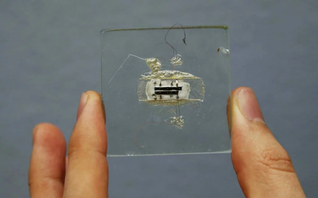 The History of Quantum Computing You Need to Know [2025]