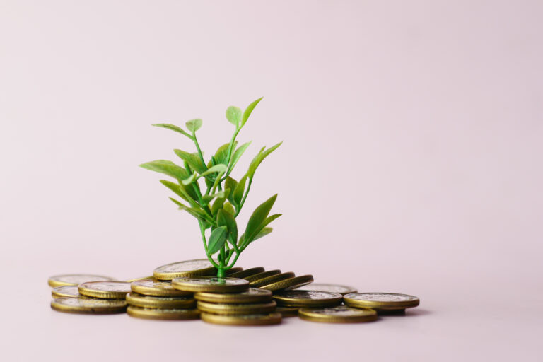 Close up of young plan growing through coins.