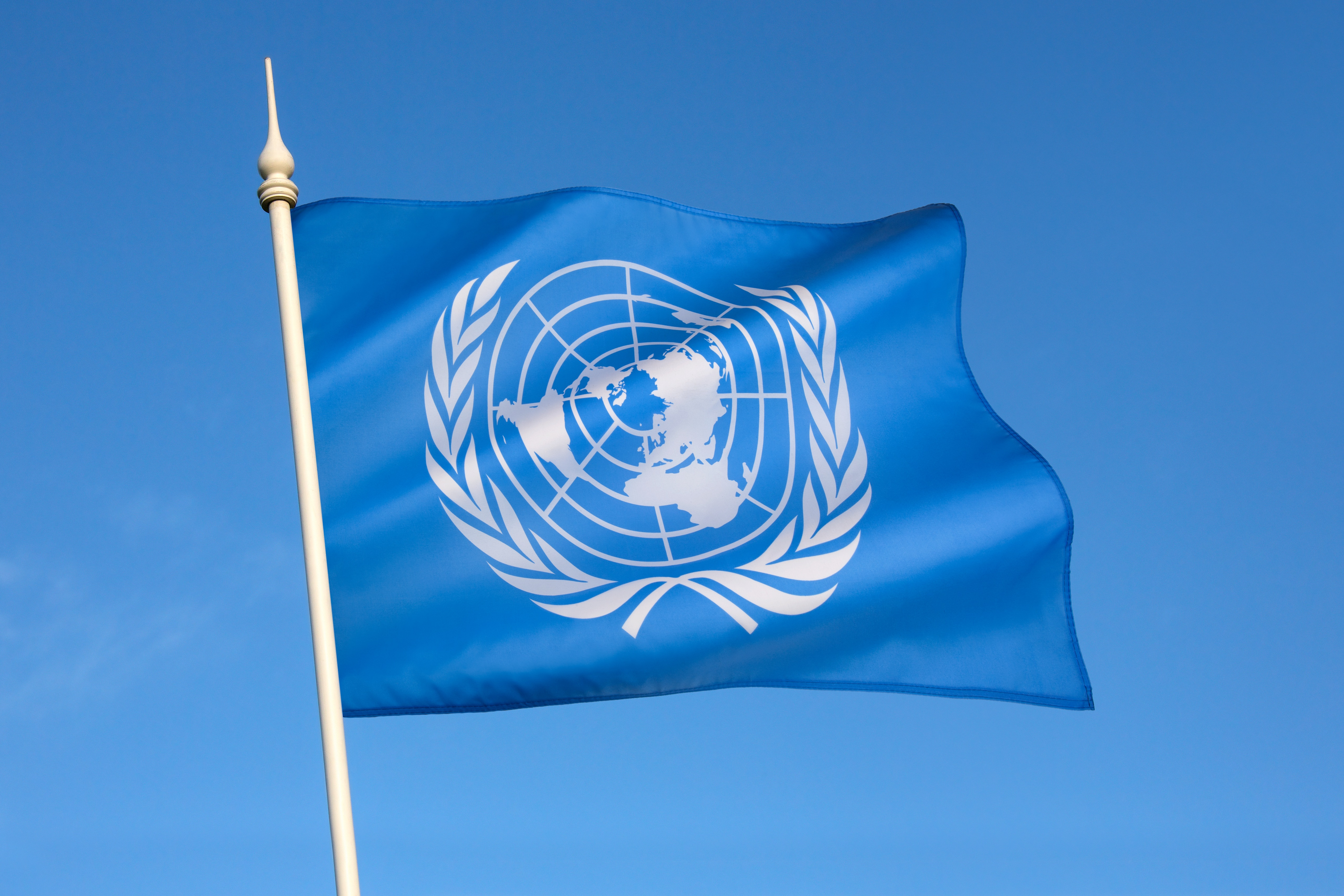 Flag of the United Nations
