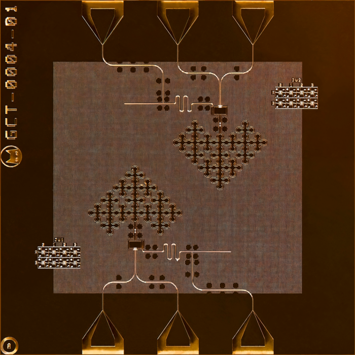 Image for Alice & Bobs First Cat Qubit Quantum Chip Available On Google Cloud Marketplace