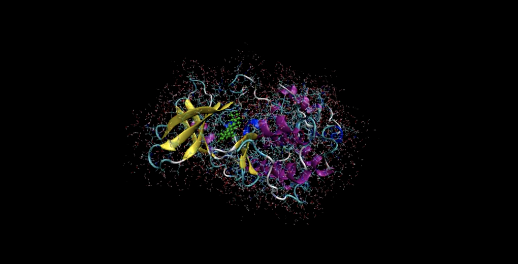 quantum drug discovery