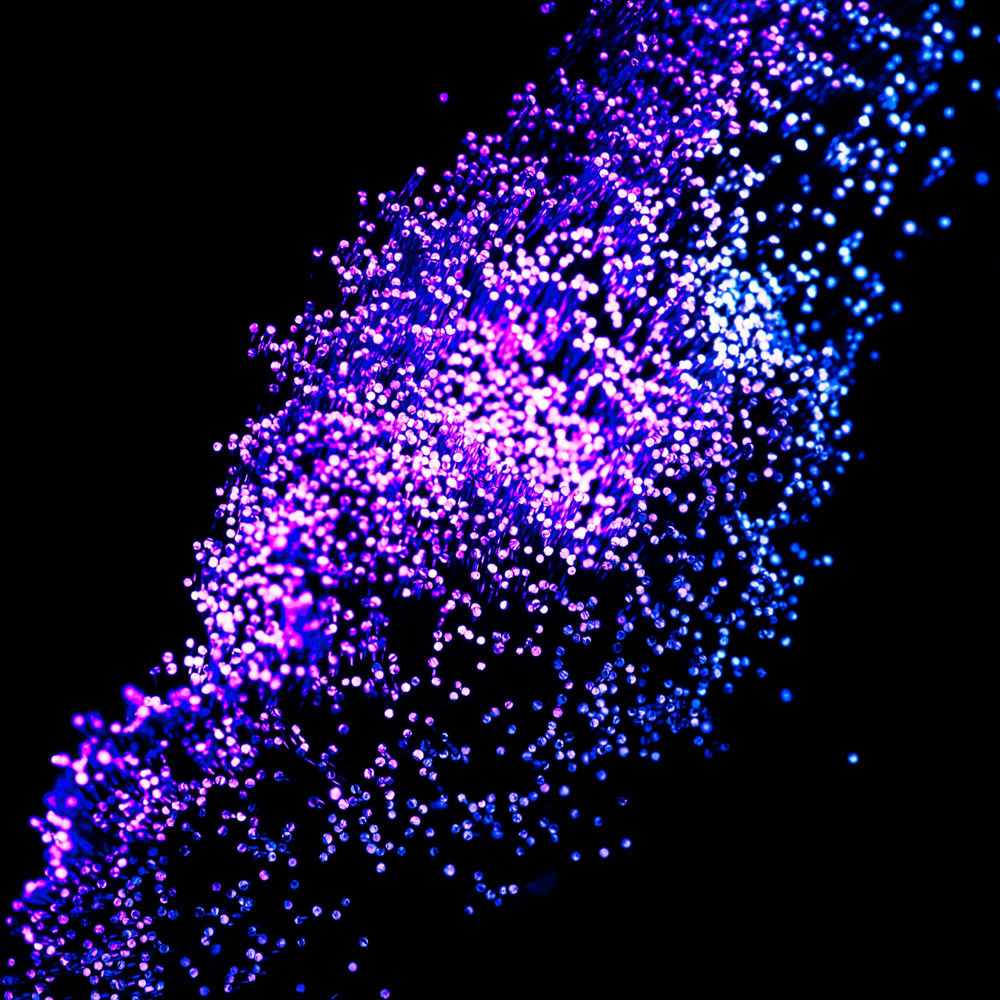 shiny purple fiber optics on dark background