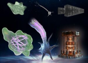Quantum Biology