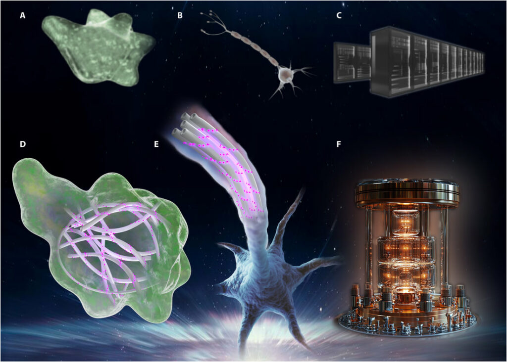 quantum biology lab