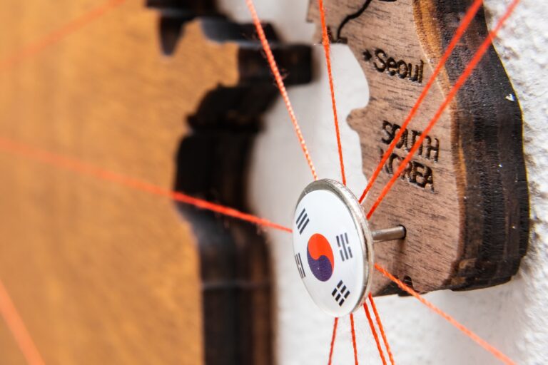 South Korea flag on the pin with red thread showed the paths on the wooden map.