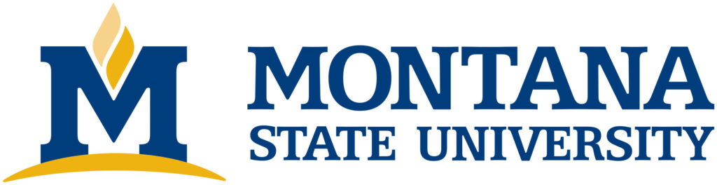 msu