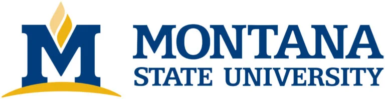 msu