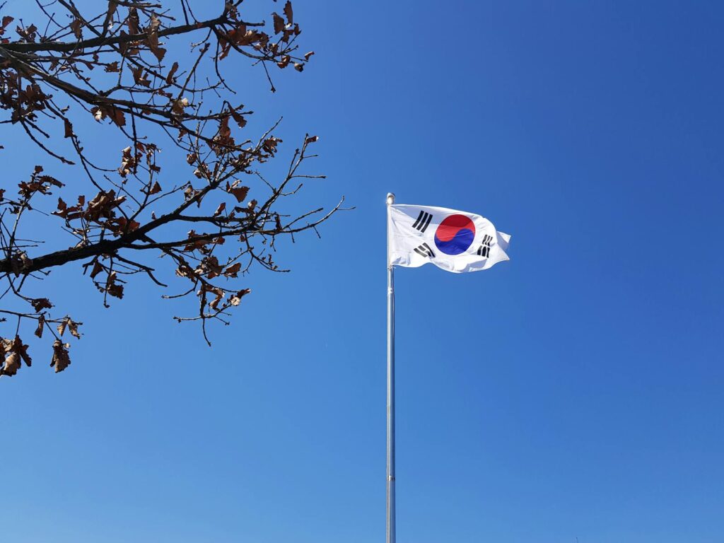 South Korean flag on a flagpole against a vibrant blue sky with tree branches.