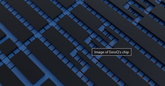 EeroQ's Chip Picture