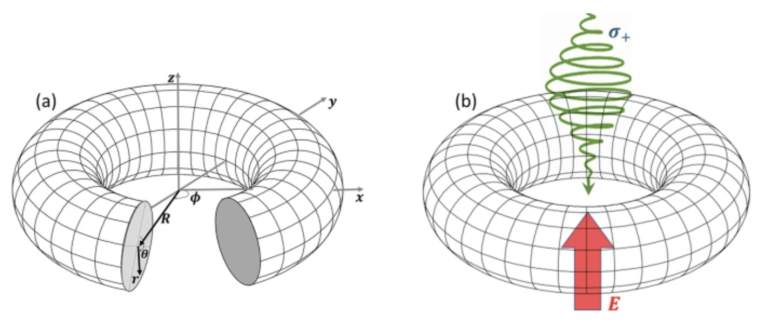 Quantum Control