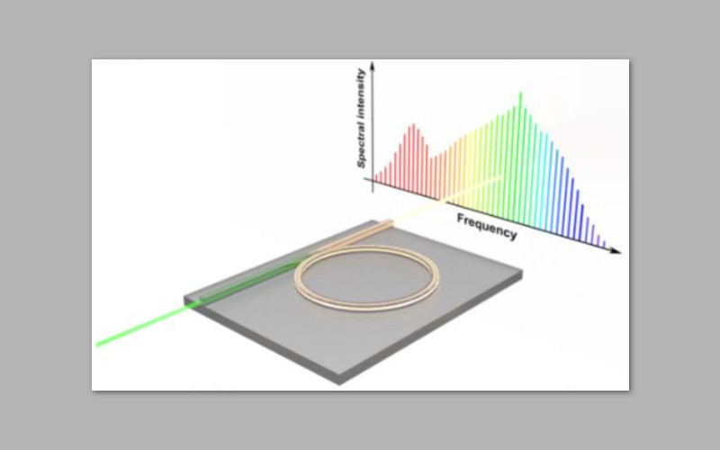 wave simulation