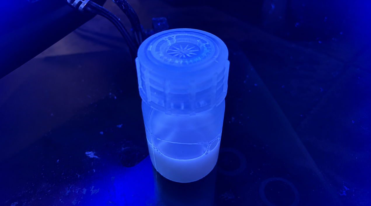 Carbon Quantum Dots made from Organic Biomass Waste