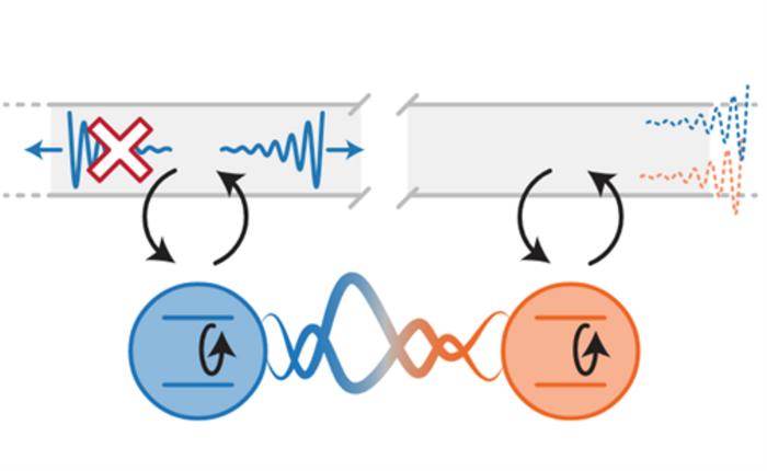 quantum dissipation