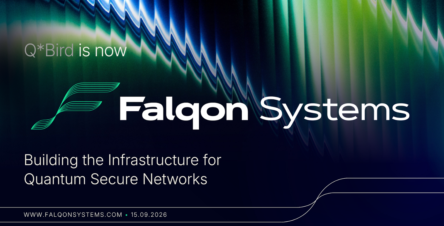 Falcon Systems logo