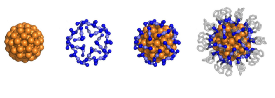 Gold nanoclusters for quantum computing