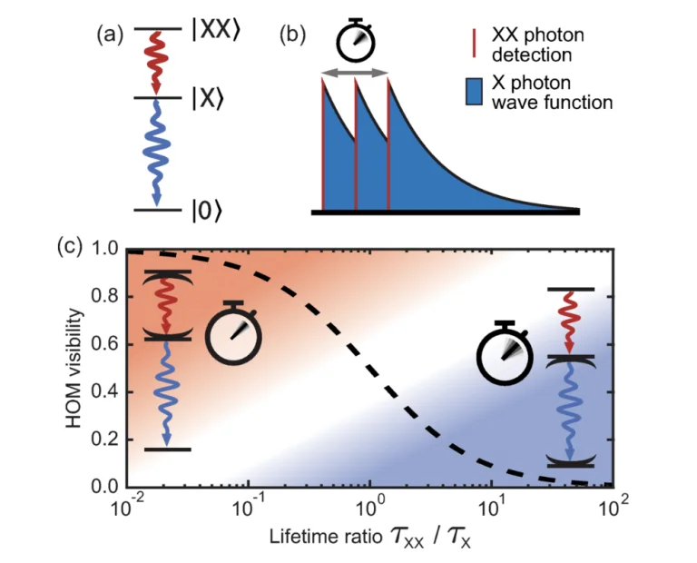 photons