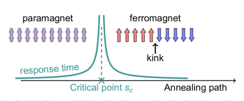 D-Wave Quantum Simulation