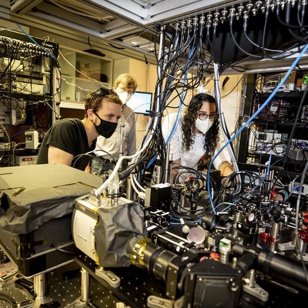 Harvard-led team develops simulator with 256 qubits, largest of its kind ever created