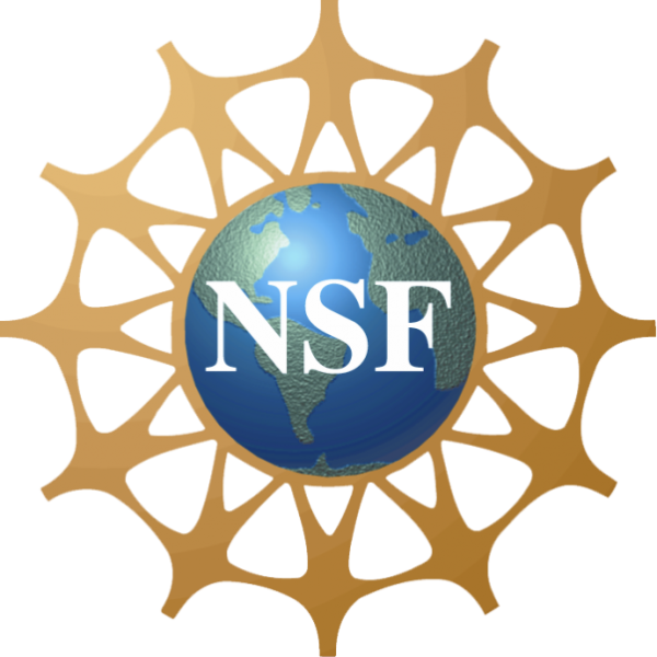 NSF_Logo-1