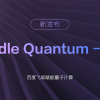 Quantum Paddle