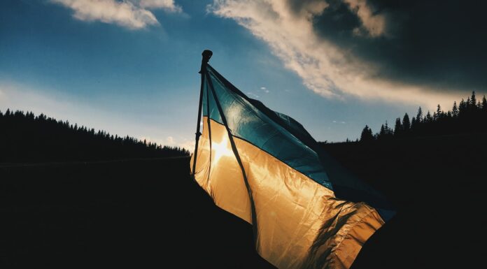 blue and yellow striped country flag